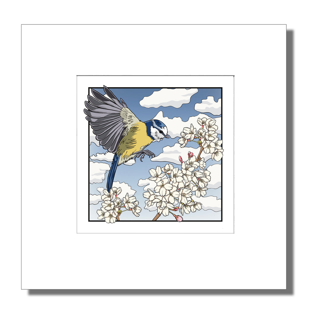 Blue tit & Blossom Mounted Digital Print with framing options
