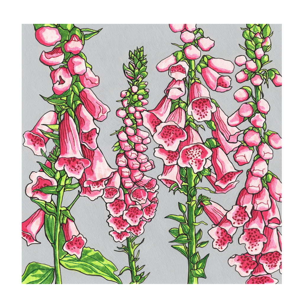 Foxgloves Mounted Digital Print with framing options