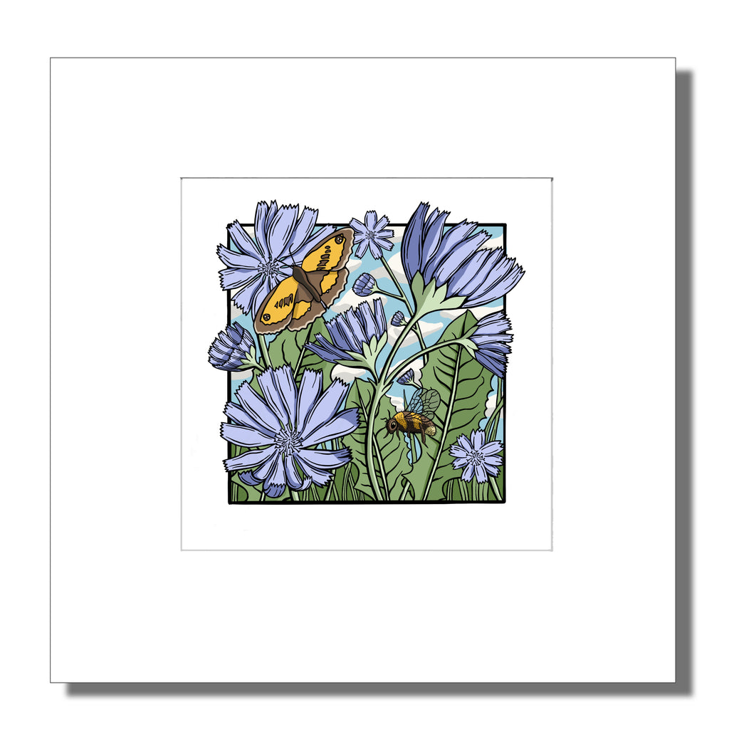 Meadow Series - Chicory Mounted Digital Print with framing options