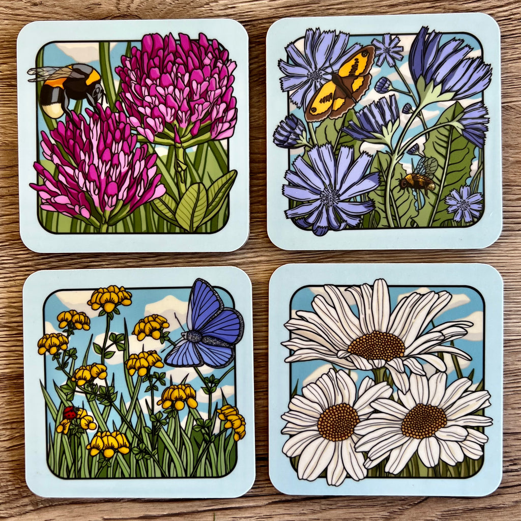 Beautiful Meadow Flower Series set of 4 Coasters by Artist Zoe Howard