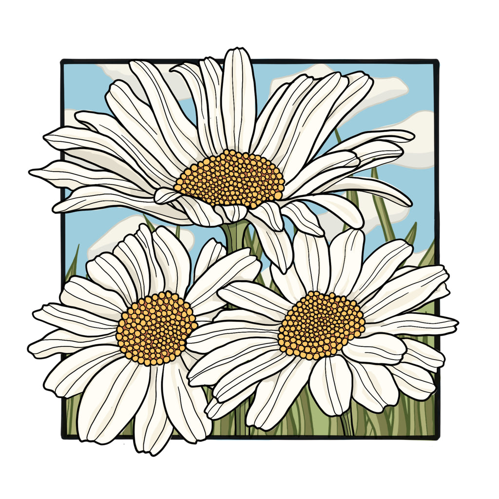 Meadow Series - Oxeye Daisies Mounted Digital Print with framing options
