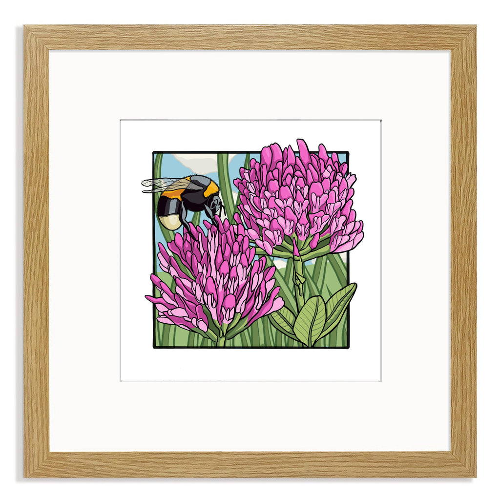 Meadow Series - Red Clover Mounted Digital Print with framing options