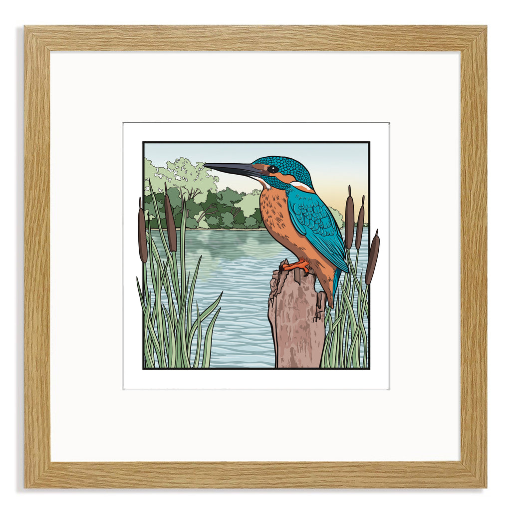 Kingfisher Mounted Digital Print with framing options