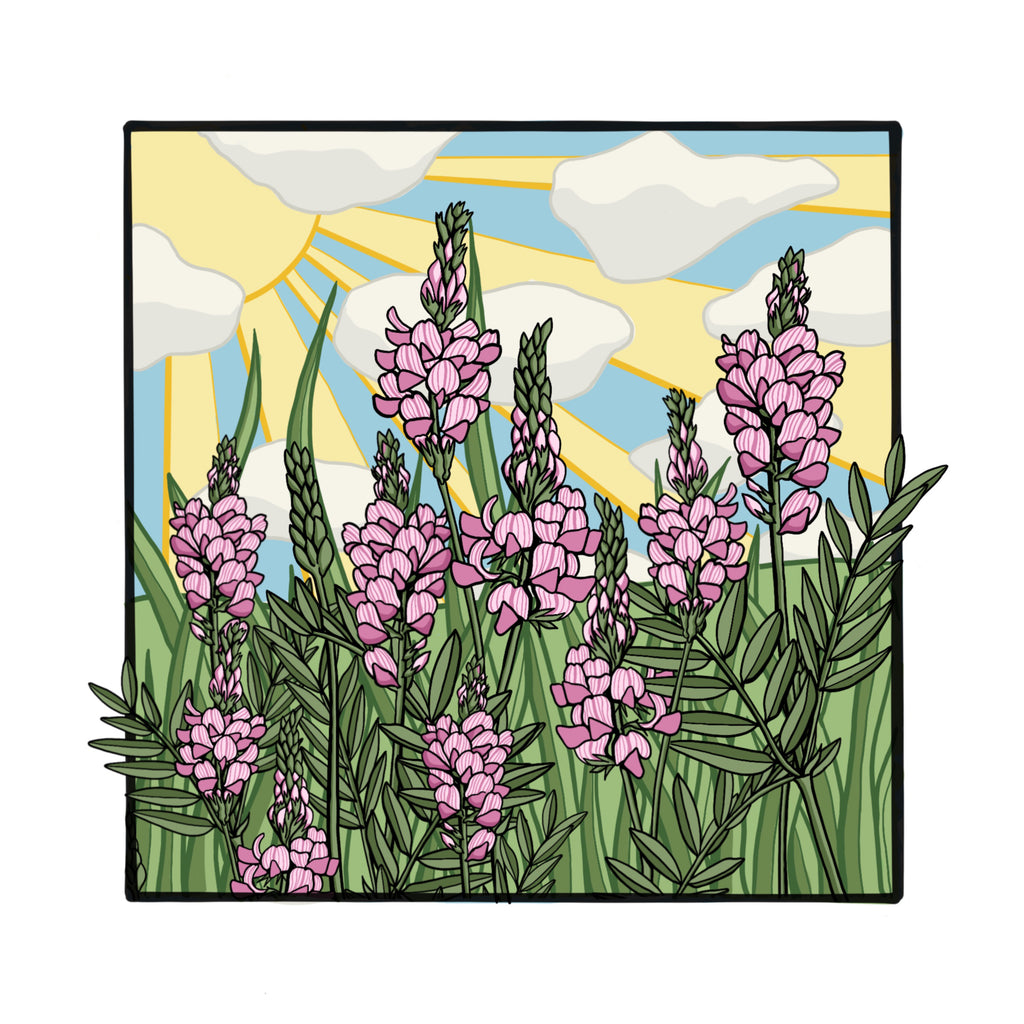 Meadow Series - Sainfoin Mounted Digital Print with framing options