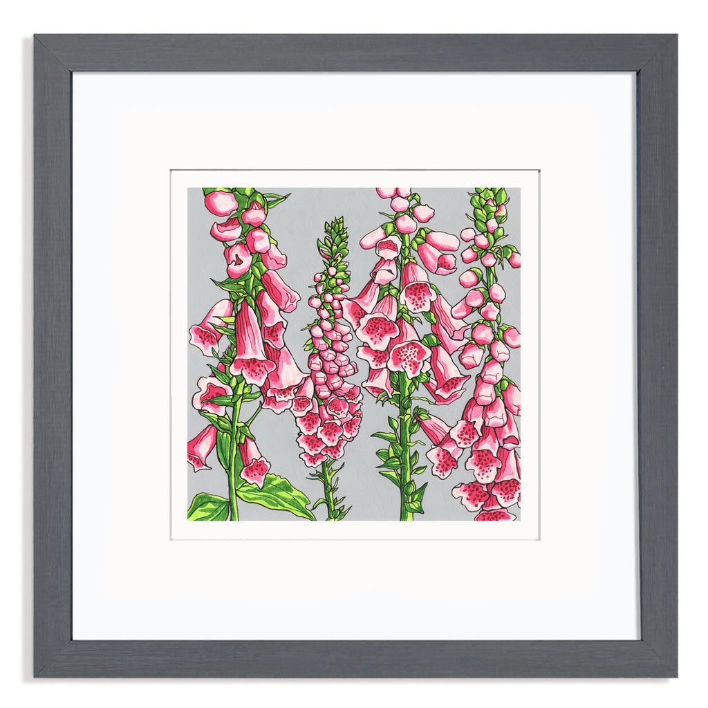 Foxgloves Mounted Digital Print with framing options