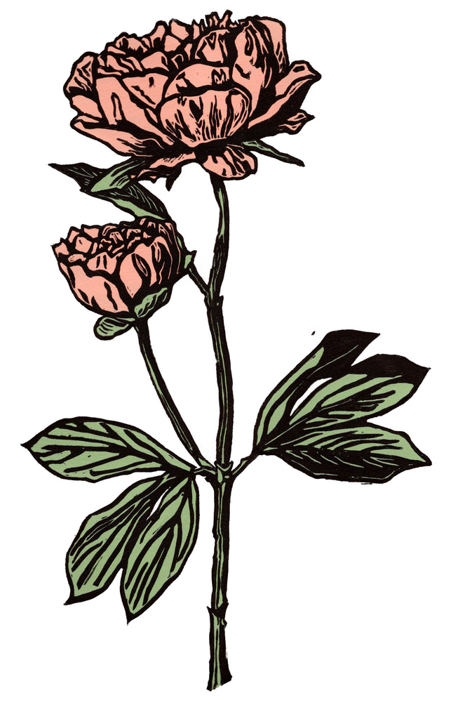 'Peony in Pink' Limited Edition Original Linocut