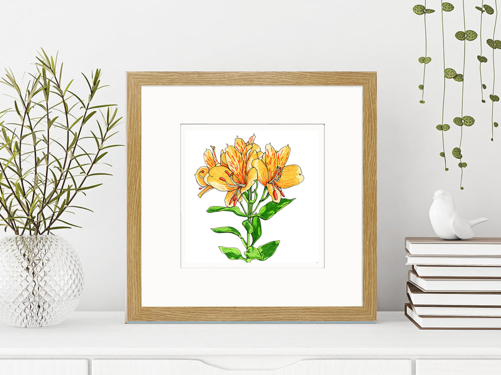 Alstroemeria Mounted Digital Print with Framing Options